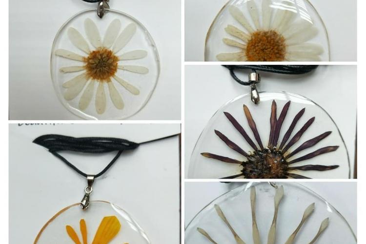 Beautiful Blooms By Judy